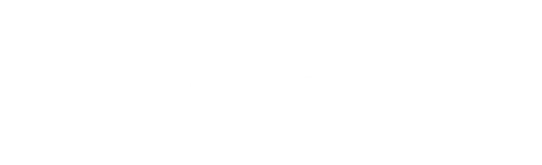 SYNADIAG Logo